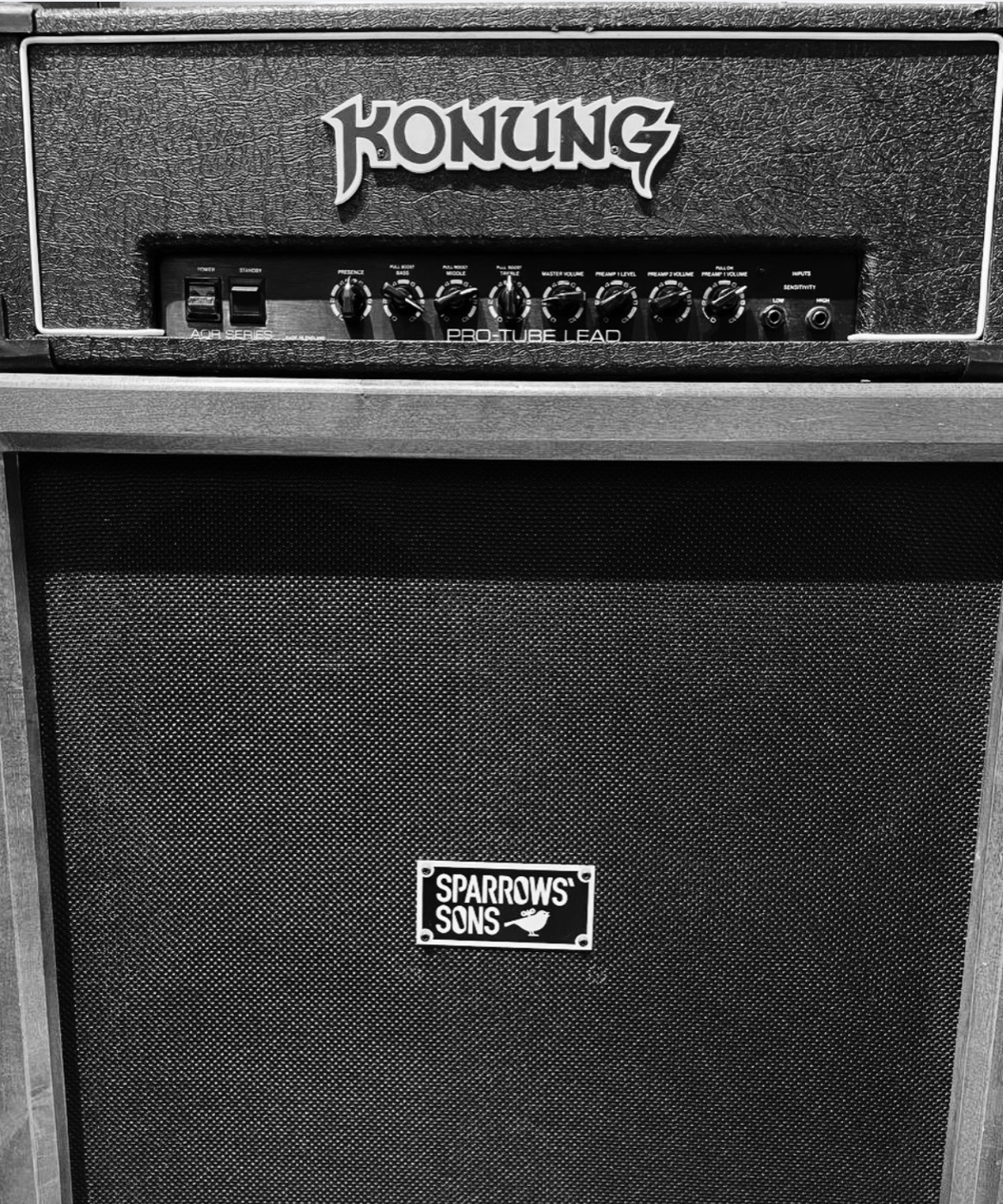 Custom KONUNG amplifier and Sparrows Sons cabinet